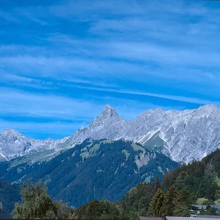 Hotel Alpenhof Messmer 3*